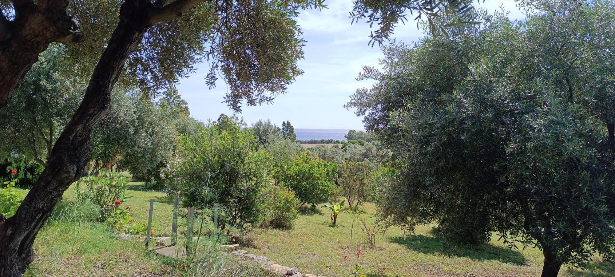 Sa Teria Village - Appartamenti - Tertenìa Exterior foto