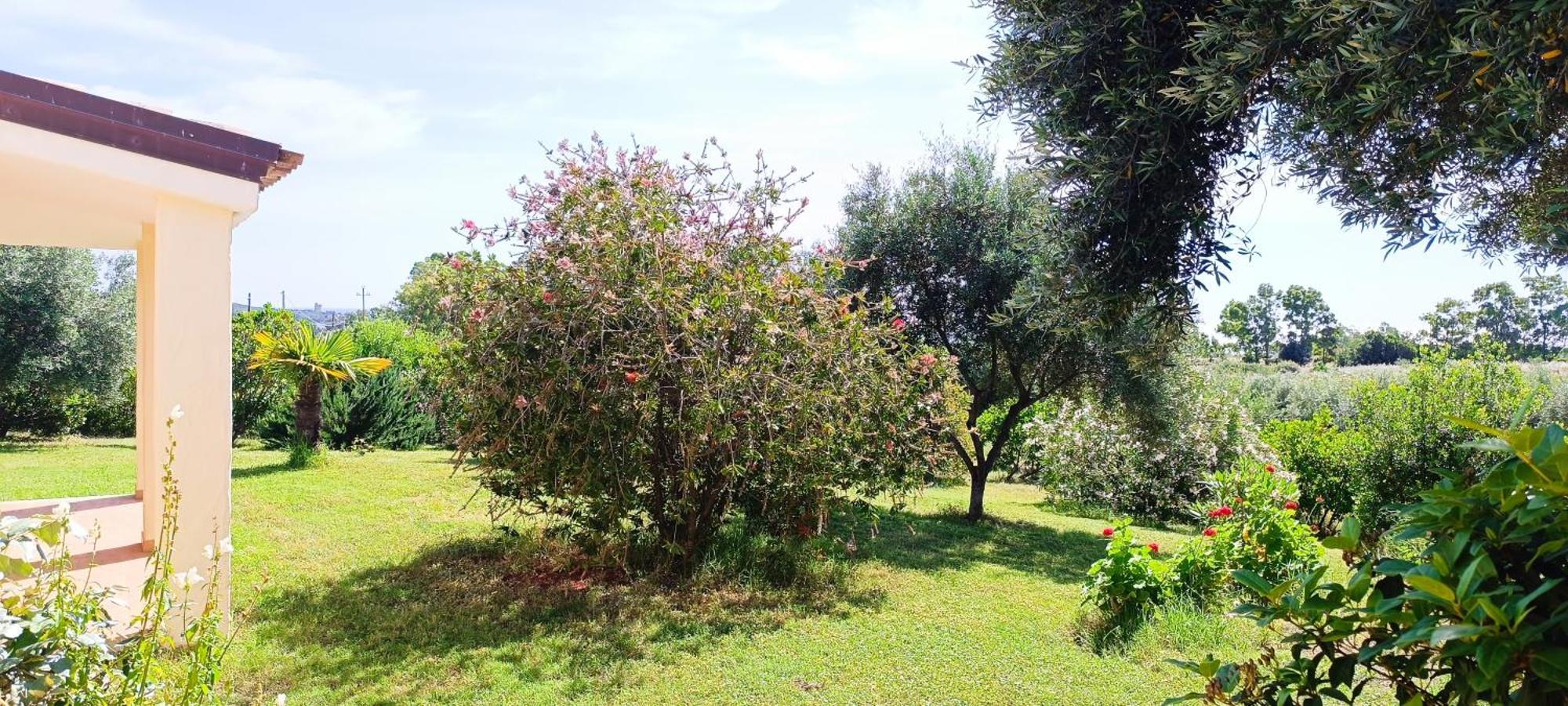Sa Teria Village - Appartamenti - Tertenìa Exterior foto