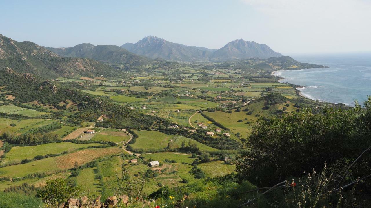 Sa Teria Village - Appartamenti - Tertenìa Exterior foto